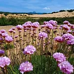 Apartment In Sardinia Close To The And To Airport Sol Y Luna 11