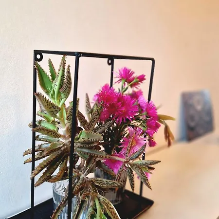 In Sardinia Sol Y Luna 11 Apartamento Olbia