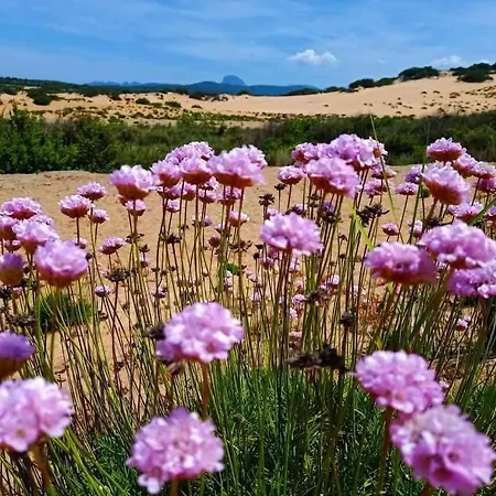 Appartamento Sol Y Luna 11 In Sardinia Close To The And To Airport
