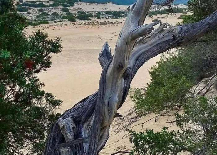 In Sardinia Sol Y Luna 11 Lägenhet