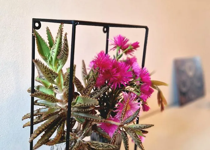 In Sardinia Sol Y Luna 11 Appartement Olbia