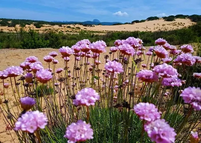 Lägenhet In Sardinia Sol Y Luna 11