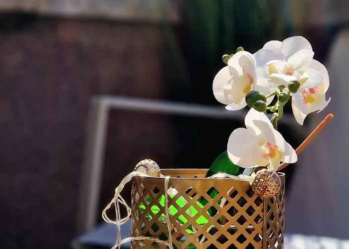 In Sardinia Sol Y Luna 11 Olbia