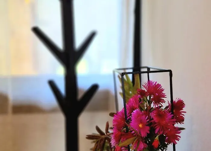 In Sardinia Sol Y Luna 11 Apartamento Olbia