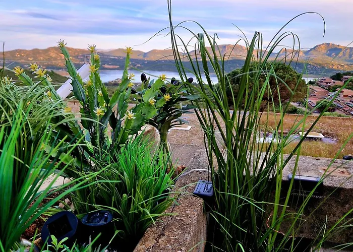 Apartamento In Sardinia Sol Y Luna 11